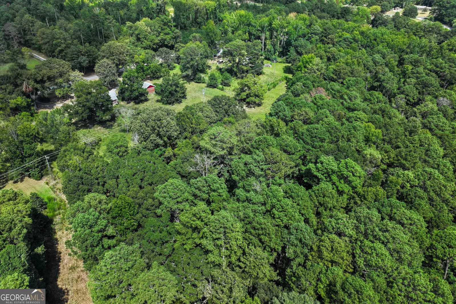 Aerial looking across the wooded land surrounding the property