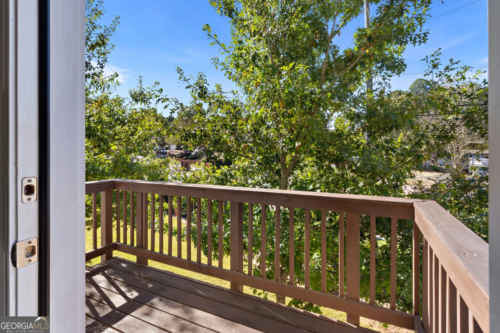 View from the back deck into the trees
